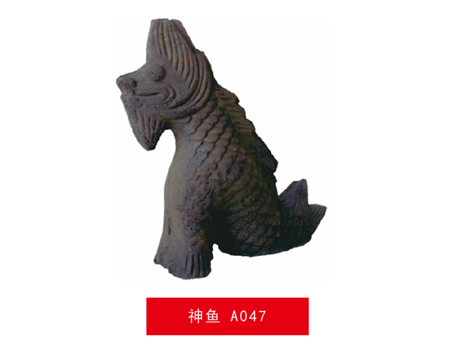 神鱼 A047